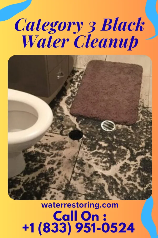 Category 3 Black Water Cleanup in Glen Acres, NM
