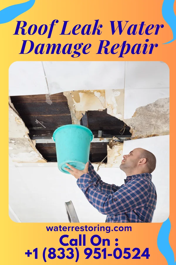 Roof Leak Water Damage Repair in Glen Acres, NM
