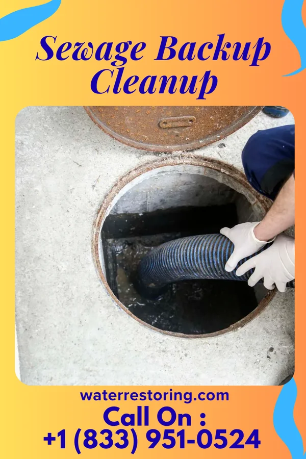 Sewage Backup Cleanup in Glen Acres, NM