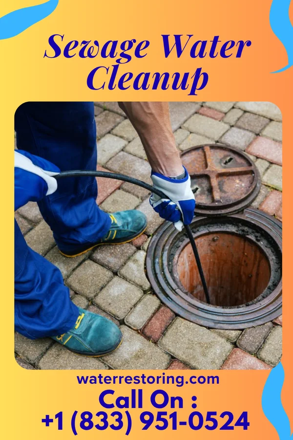 Sewage Water Cleanup in Glen Acres, NM