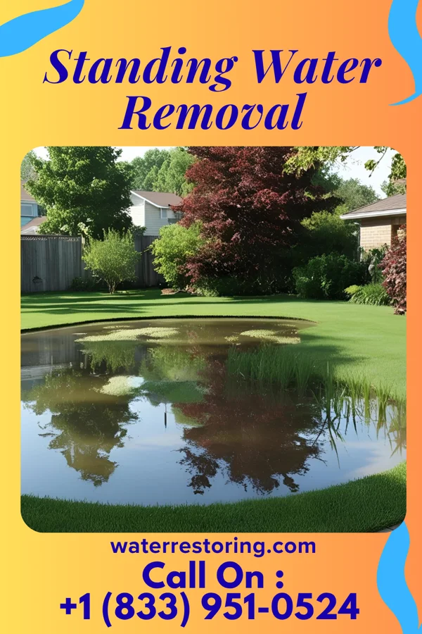 Standing Water Removal in Glen Acres, NM